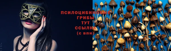 СК Белоозёрский