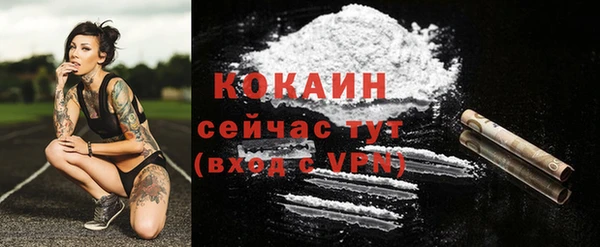 прущие грибы Новый Уренгой