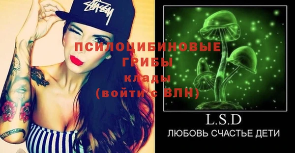 прущие грибы Новый Уренгой