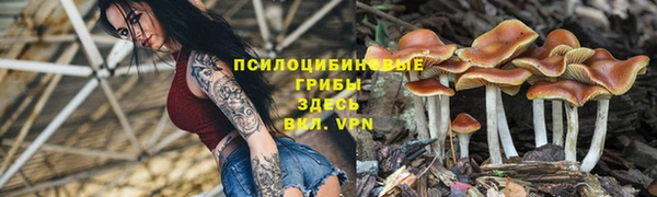 ешки Орехово-Зуево
