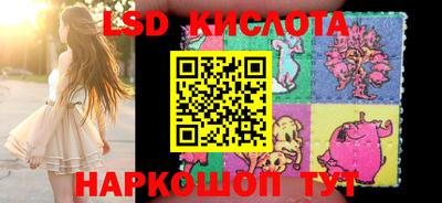 Альфа ПВП Краснознаменск