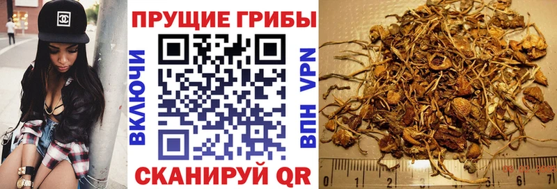 Псилоцибиновые грибы мухоморы  Лыткарино 