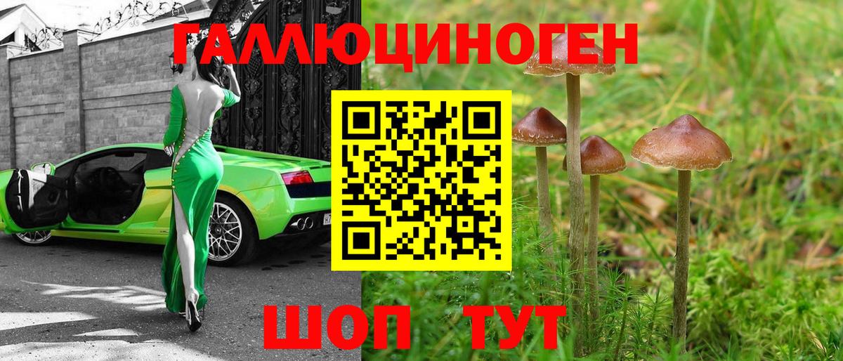 Псилоцибиновые грибы Psilocybine cubensis Лыткарино