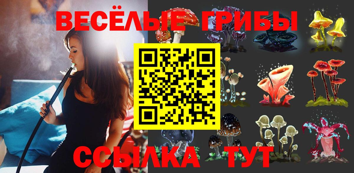 где купить   Псилоцибиновые грибы Psilocybe  Вход с VPN  Лыткарино 